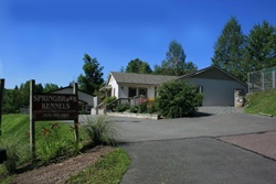 springbrook kennels dog friendly care in the poconos, pennsylvania, pet friendly boarding in the poconos, pennsylvania